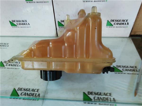 Botella Expansion Citroen C5 Berlina (2004->) foto 4