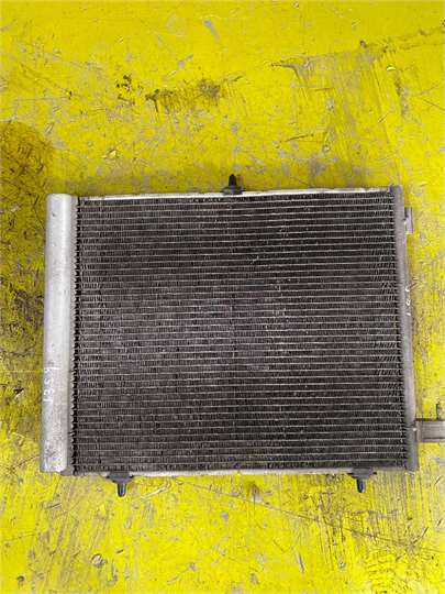 Radiador Calefaccion Citroen C3 (09.2009->)