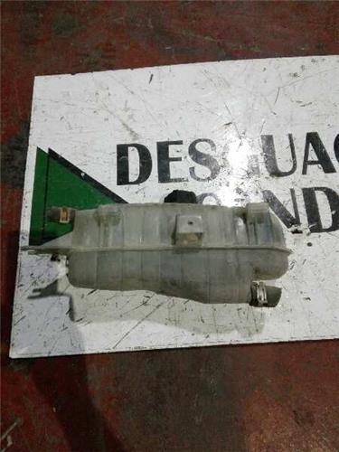 Botella Expansion Renault Clio III (2005->) foto 2