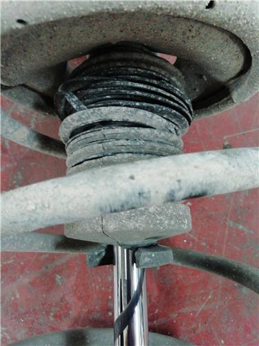 Amortiguador Delantero Derecho Nissan Almera Tino (V10M)(05.2000->) foto 4
