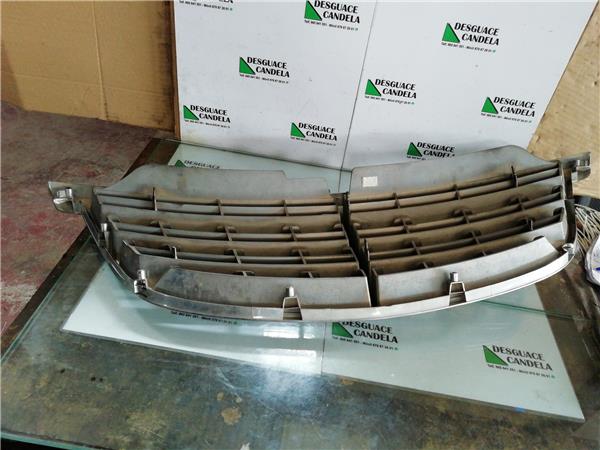Rejilla Capo Ssangyong KYRON foto 3