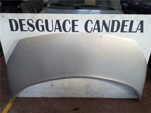 Capo Renault SCENIC II