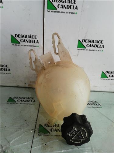 Botella Expansion Citroen C3 (2002->) foto 3