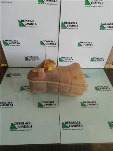 Botella Expansion