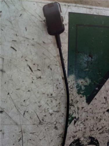 Cerradura Puerta Trasera Derecha Renault SCENIC II foto 3