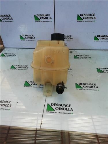 Botella Expansion Citroen Berlingo (2002->)