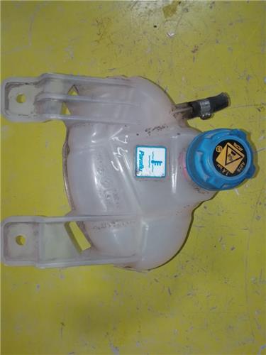 Botella Expansion Fiat Grande Punto (199)(2005->) foto 3