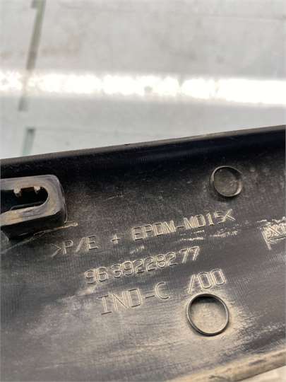 Moldura puerta lateral izquierda Citroen Berlingo (2002->) foto 3