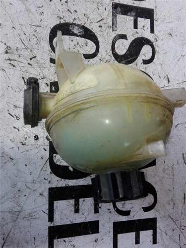 Botella Expansion Peugeot 206 (1998->)
