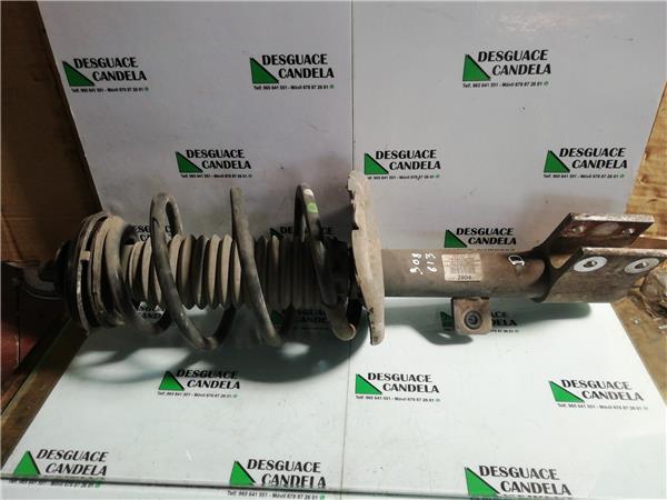 Amortiguador Delantero Derecho Peugeot 308 (2007->)