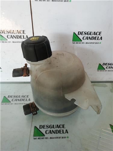 Botella Expansion Renault Kangoo I (F/KC0)(1997->) foto 4