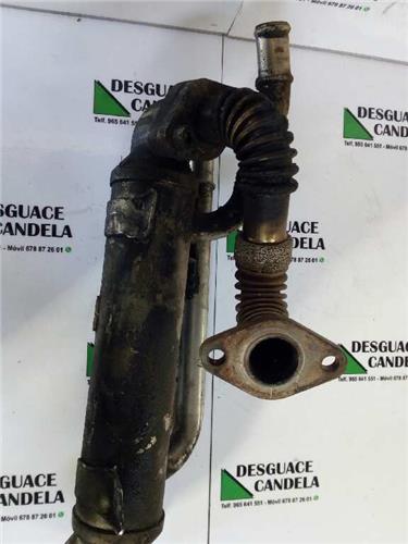 Enfriador Gases Egr Volkswagen PASSAT BERLINA foto 2