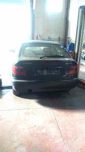 Amortiguador Capo Citroen Xsara Berlina (1997->) foto 3