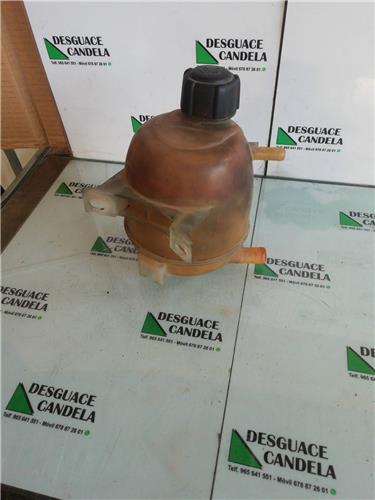 Botella Expansion Renault SCENIC foto 2