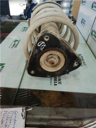 Amortiguador Delantero Derecho Ford Focus Berlina (CB4)(2008->) foto 2