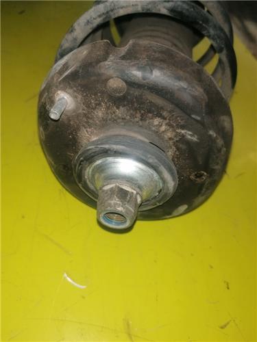 Amortiguador Delantero Izquierdo Citroen C2 (2003->) foto 3