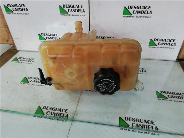 Botella Expansion Citroen C5 Berlina (2004->)