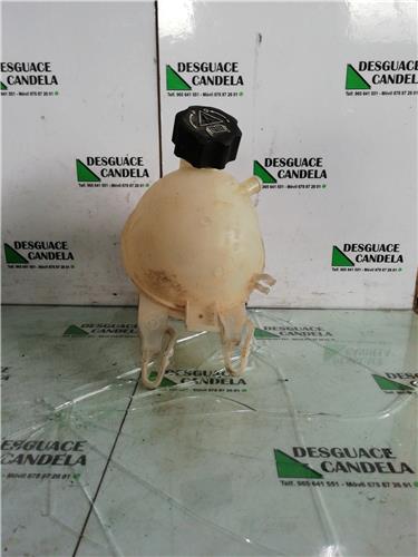 Botella Expansion Citroen C3 (2002->)