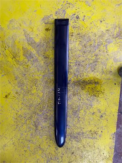 Moldura Puerta Trasera Izquierda Citroen Xsara Picasso (1999->)