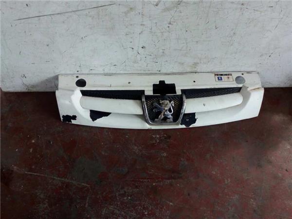Rejilla Capo Peugeot Partner (S2)(2002->)
