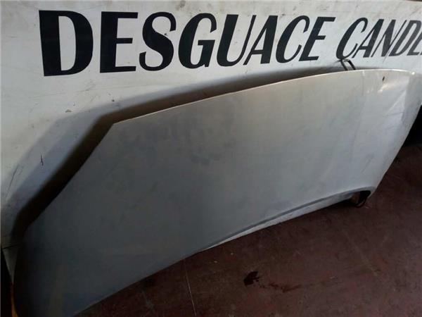 Capo Renault SCENIC II foto 2