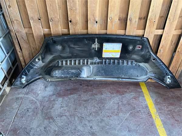 Capo Peugeot Boxer Camion Doble Cabina (2014->) foto 2