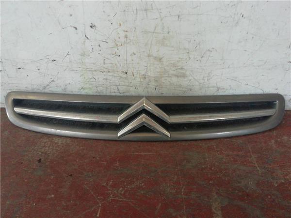Rejilla Capo Citroen Xsara Picasso (1999->) foto 2