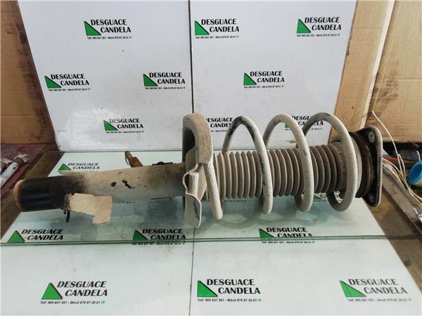 Amortiguador Delantero Derecho Ford Focus Berlina (CB4)(2008->) foto 3