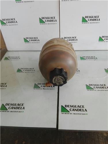 Botella Expansion Peugeot 206 (1998->)
