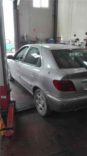 Amortiguador Capo Citroen Xsara Berlina (1997->) foto 4