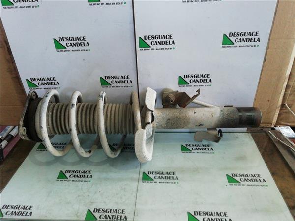 Amortiguador Delantero Izquierdo Ford Focus Berlina (CB4)(2008->) foto 4