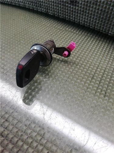 Bombin Puerta Delantera Izquierda Nissan Almera (N15)(07.1995->)