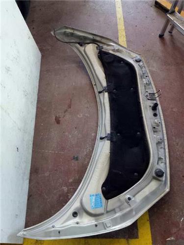 Capo Renault SCENIC II foto 3