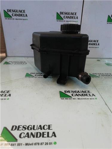 Deposito Liquido Direccion Asistida Citroen Berlingo (2002->)