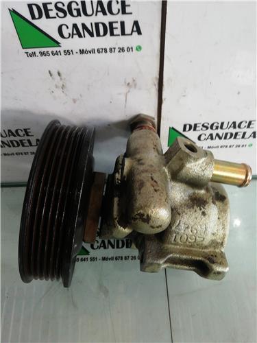 bomba servodireccion seat ibiza 6k1 081999 1