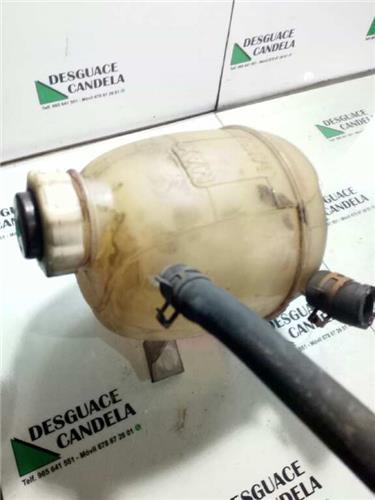 Botella Expansion Renault MEGANE I BERLINA HATCHBACK foto 4