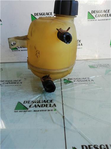 Botella Expansion Renault Megane I Fase 2 Berlina (BA0)(1999->) foto 2