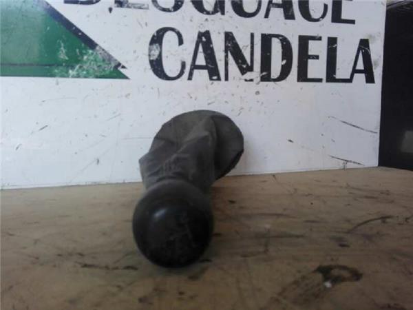 Pomo Palanca Cambio