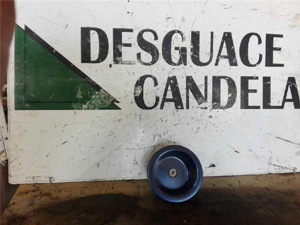 Tapon Combustible