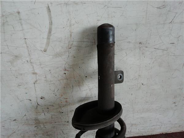 Amortiguador Delantero Izquierdo Peugeot Partner (S2)(2002->) foto 3