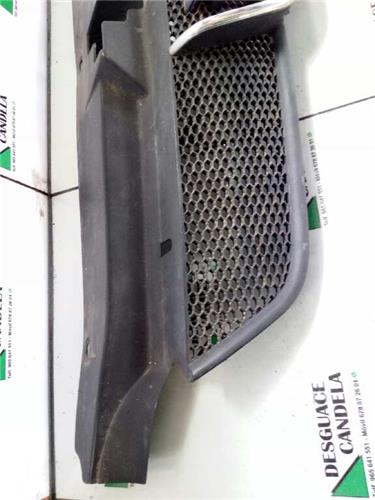 Rejilla Capo Peugeot 406 BERLINA foto 2