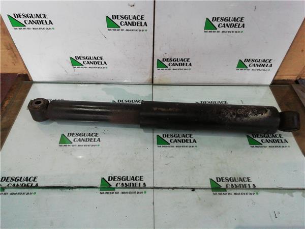 Amortiguador Trasero Derecho Ford Transit Connect (TC7)(2002->) foto 2