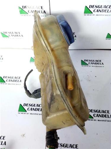 Botella Expansion Volkswagen PASSAT BERLINA foto 4