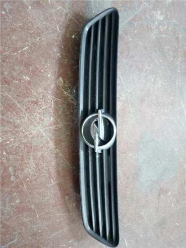 Rejilla Capo Opel Astra G Berlina (1998->) foto 5
