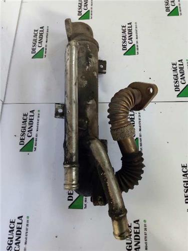 Enfriador Gases Egr Volkswagen PASSAT BERLINA foto 3