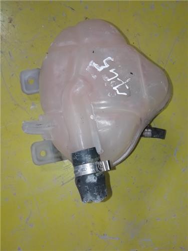 Botella Expansion Fiat Grande Punto (199)(2005->) foto 4
