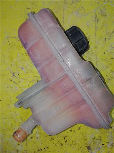 Botella Expansion Citroen C5 Berlina (2008->)