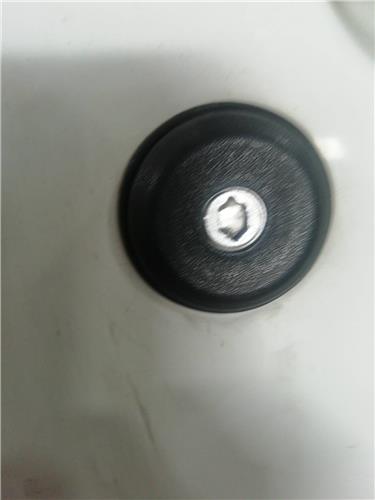 Bombin Puerta Delantera Izquierda
