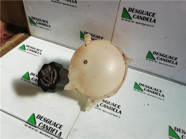 Botella Expansion Peugeot 308 (2007->)