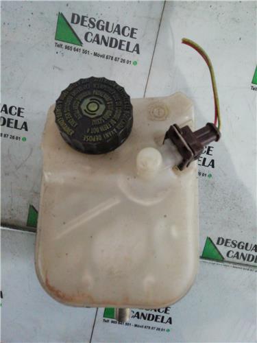 Bomba Freno Citroen Berlingo (2002->) foto 4